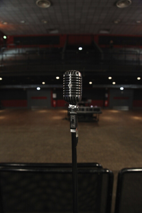 Donne cours de chant à BRANNE