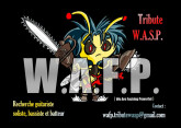 W.A.F.P. (Tribute W.A.S.P.) cherche guitariste
