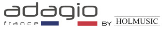 Adagio France recrute un·e Spécialiste Produits Guitare et Ampli