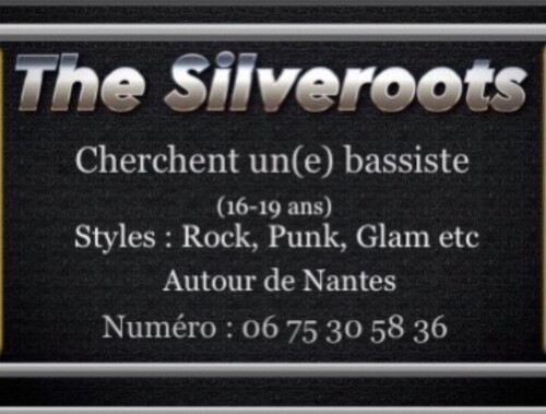 The Silveroots cherchent bassiste rock