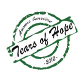 Recherche Guitariste pour Tears of Hope