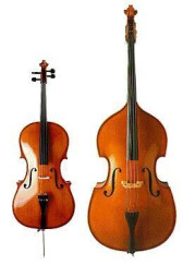 Duo acoustique cherche Violoncelliste / Contrebassiste