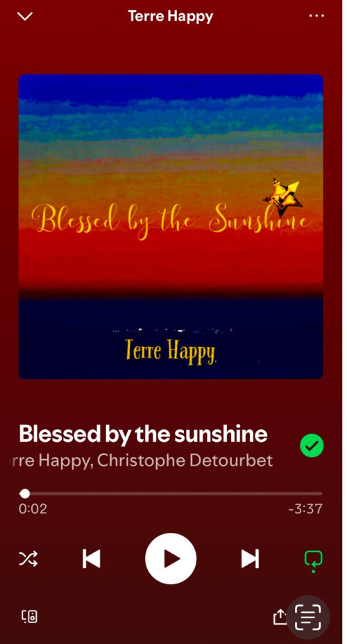 Chanteur compositeur cherche groupe pop rock electro