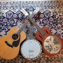 Cherche harmoniciste