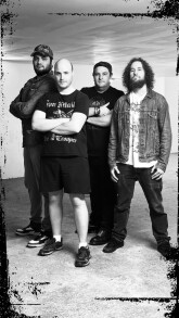 Lazy Shark cherche sa nouvelle voix !