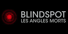 Blind Spot