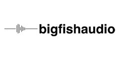 Big Fish Audio