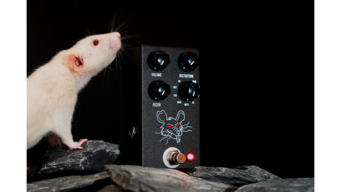 JHS présente la Packrat Distortion