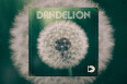 Sample Science présente Dandelion