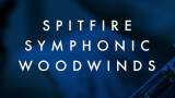 -300€ chez Spitfire Audio