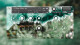 SonicZest sort la banque de sons Z-Choir