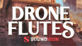 Les flûtes sont à l'honneur chez Soundiron