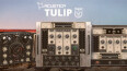 Acustica Audio sort Tulip sur Mac et Windows