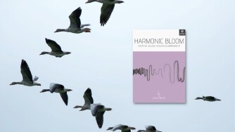 Sonora Cinematic lance Harmonic Bloom pour Kontakt et Kontakt Player