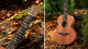 Ed Sheeran a mis à jour son modèle signature Sheeran by Lowden