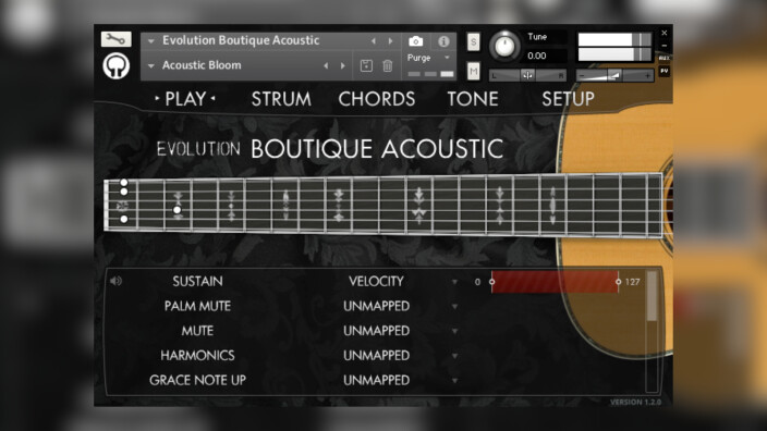 Orange Tree Samples présente l’Evolution Boutique Acoustic