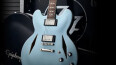 Epiphone présente la Dave Grohl DG-335