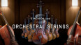 VSL ajoute la Synchron-ized Orchestral Strings à son catalogue