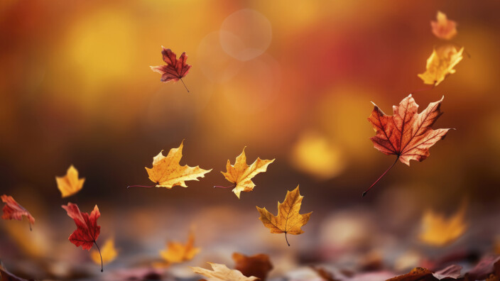 Nembrini Audio Autumn Sale