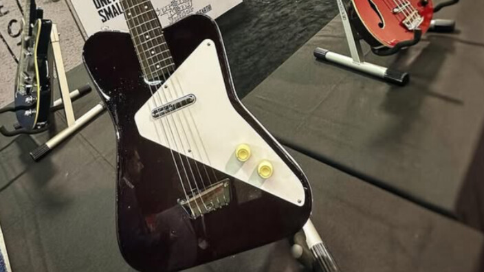 Une Danelectro Dano Pro millésime 2025 ?