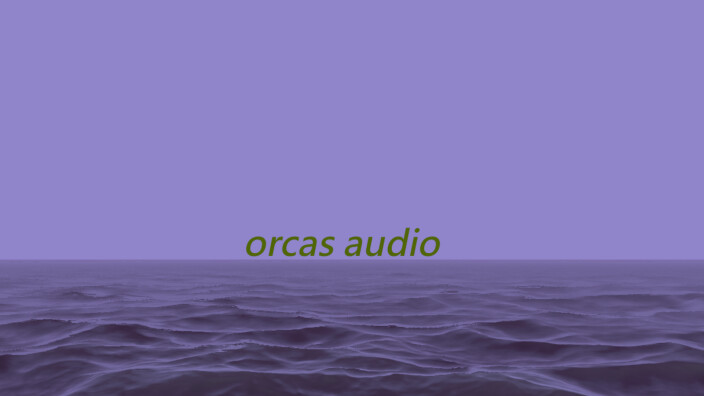 Orcas Audio annonce le format VST3 pour Mac