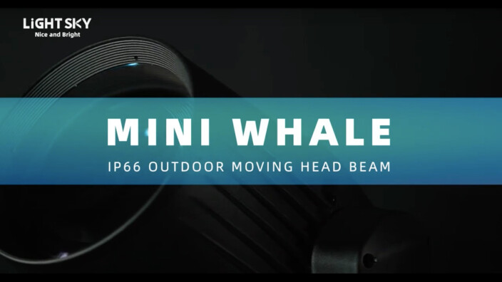 Light Sky sort la lyre Mini Whale
