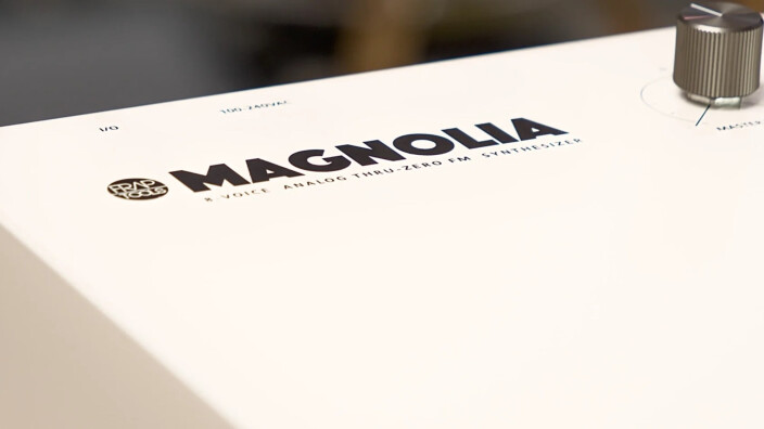 Le Magnolia est en fleur !
