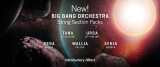 5 banques de cordes dans le VSL Big Bang Orchestra