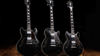 Un nouveau coloris pour la série Premier chez D'Angelico