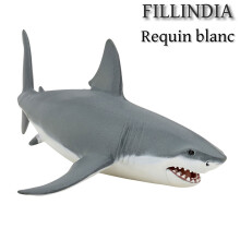 Fillindia - Requin blanc