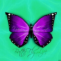 YAMM Twenty One - ButterFly Life