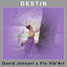 David Johnart - Destin