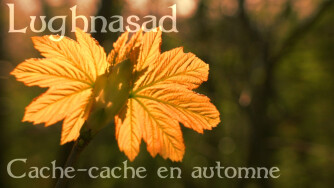 Lughnasad - Cache-cache en automne
