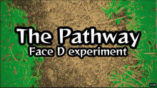 Face D - The pathway