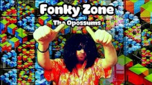 Face D - Fonky Zone