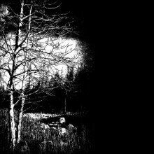 Projet Xion - In the Dark