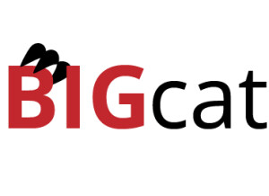 BIGcat Instruments