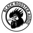 Les plug-ins Black Rooster Audio en promo