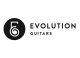 Evolution Guitars