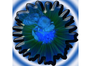 Boyss-Sound-e-Scapes