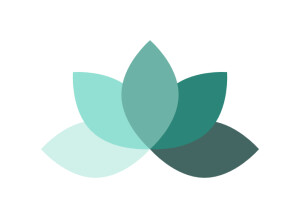 ZenDAW