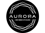 Aurora DSP