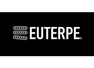 Euterpe Guitare Humbucker Super Heavy
