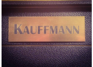 Kauffmann Kauffmann '63 T Sonic Blue