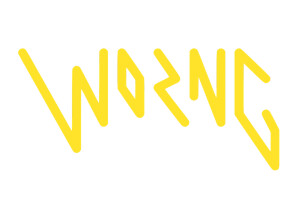 Worng Electronics
