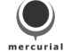 Mercurial Innovations Group (mic)