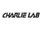 Charlie Lab