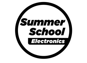 Summer School Electronics