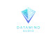DataMind Audio