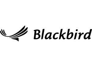 Blackbird Guitars